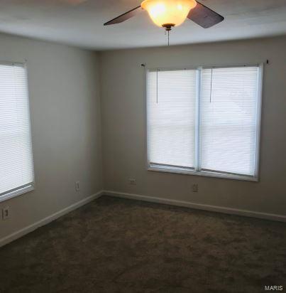 133 East Rowe Street Roodhouse, IL 62082 - Photo 4 of 9