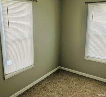 133 East Rowe Street Roodhouse, IL 62082 - Photo 5 of 9