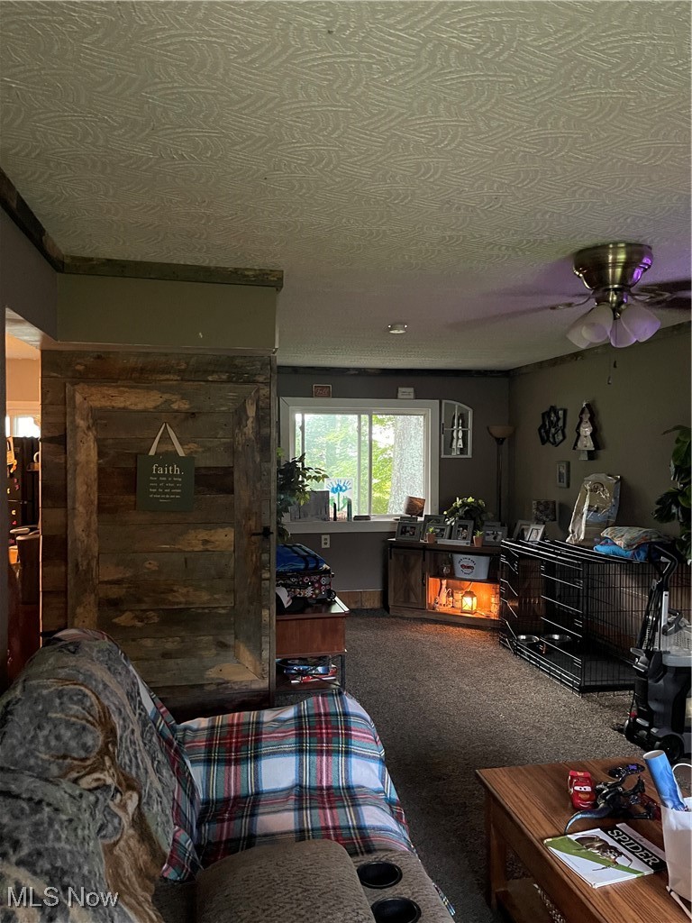 795 Middle Road Conneaut, OH 44030 - Photo 10 of 25