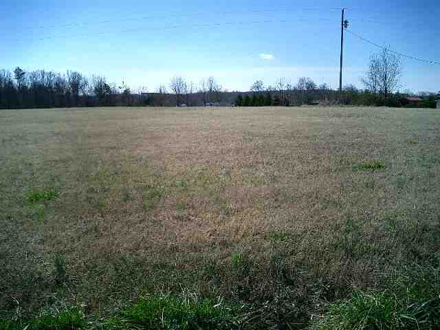 0 Shirleys Farm Road Seneca, SC 29678 - Photo 3 of 4 Gallery Image 3