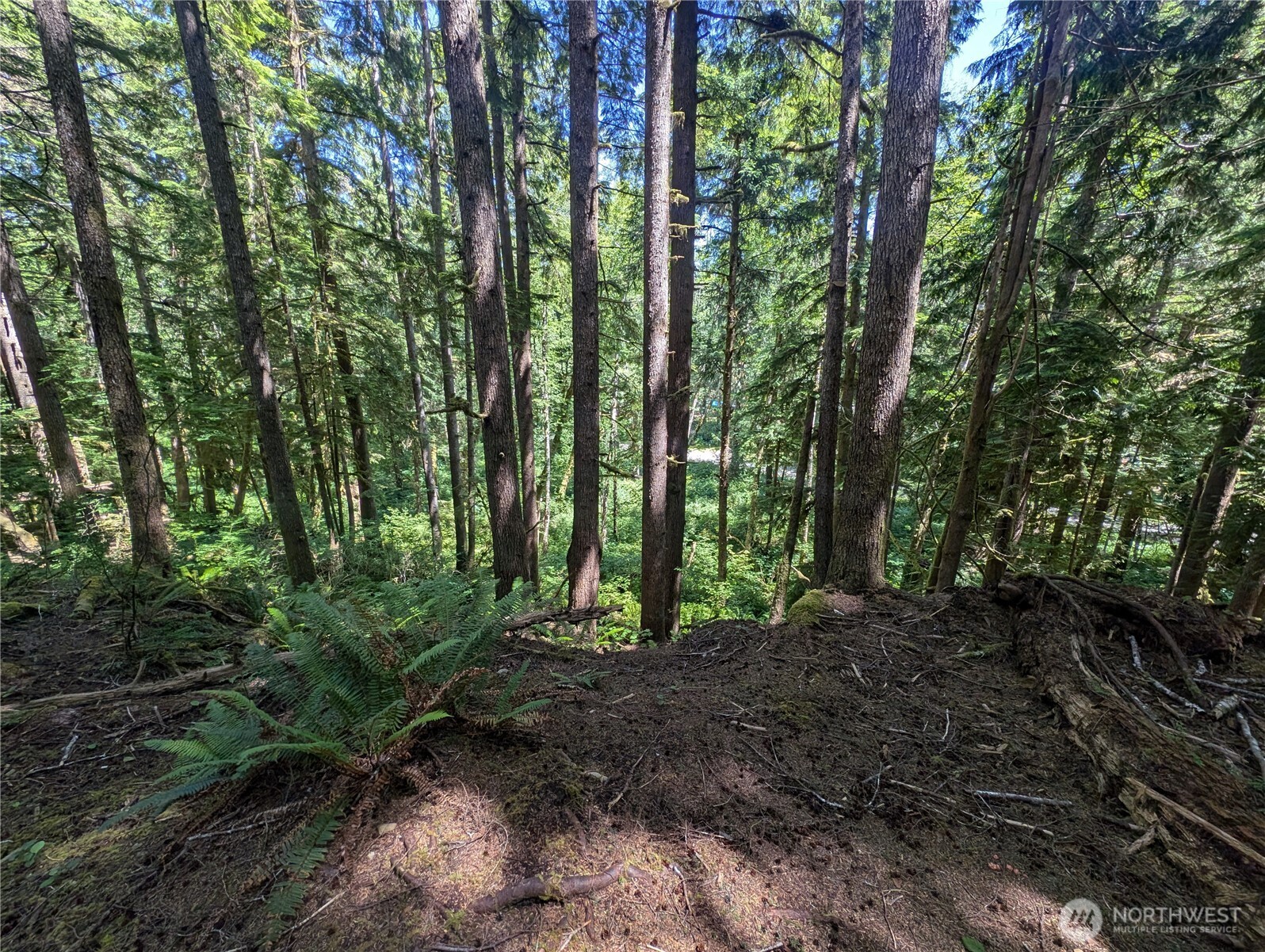 999 Kallman Road Forks, WA 98331 - Photo 14 of 32 a view of outdoor space and green space
