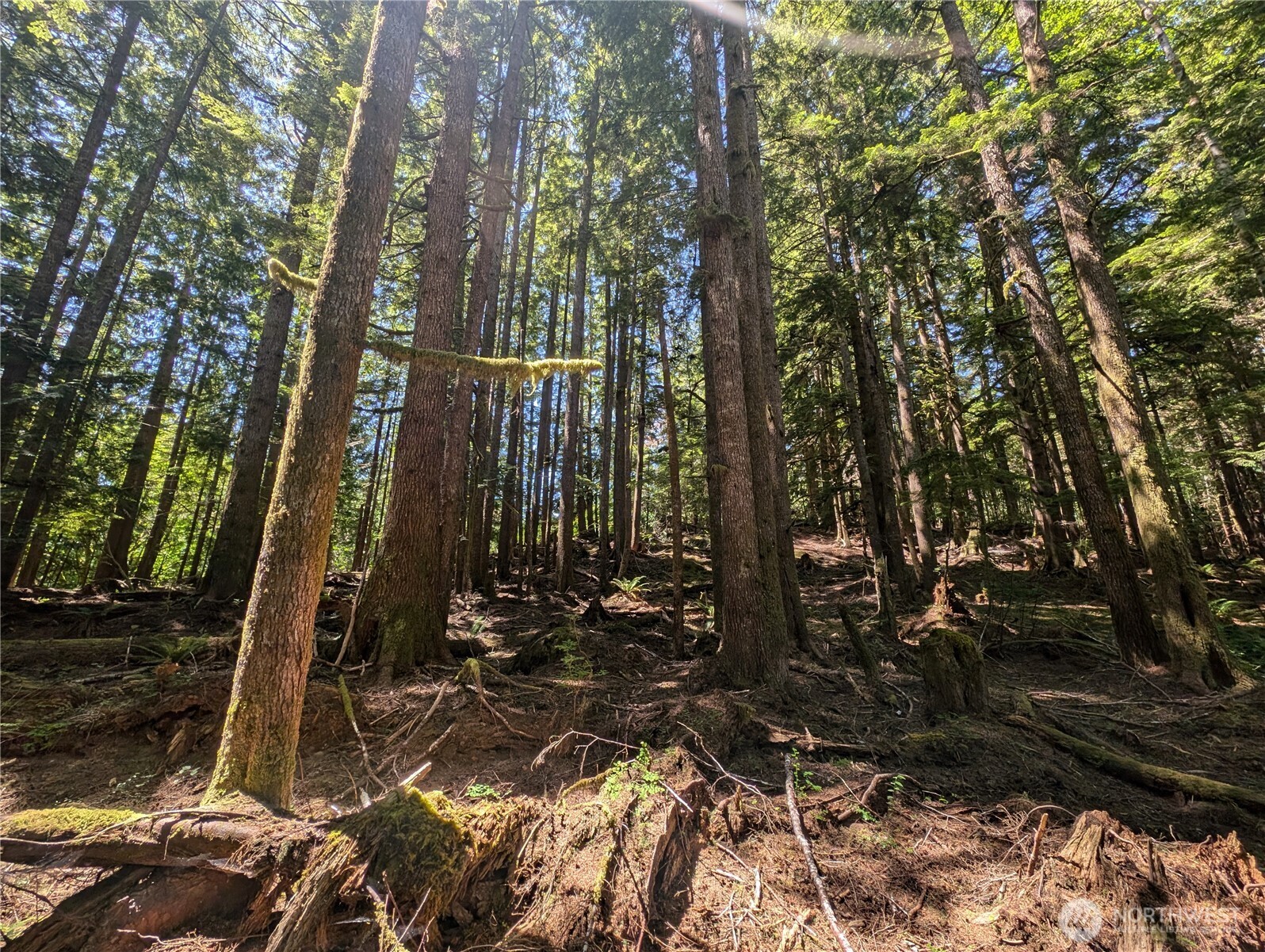 999 Kallman Road Forks, WA 98331 - Photo 15 of 32 a view of a backyard