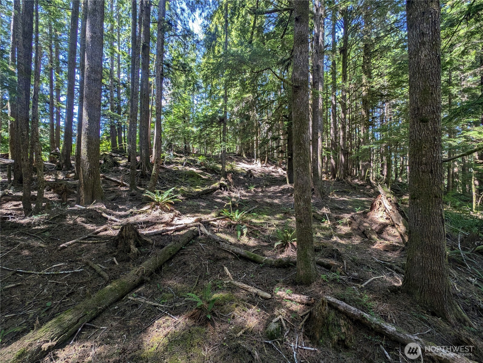 999 Kallman Road Forks, WA 98331 - Photo 16 of 32