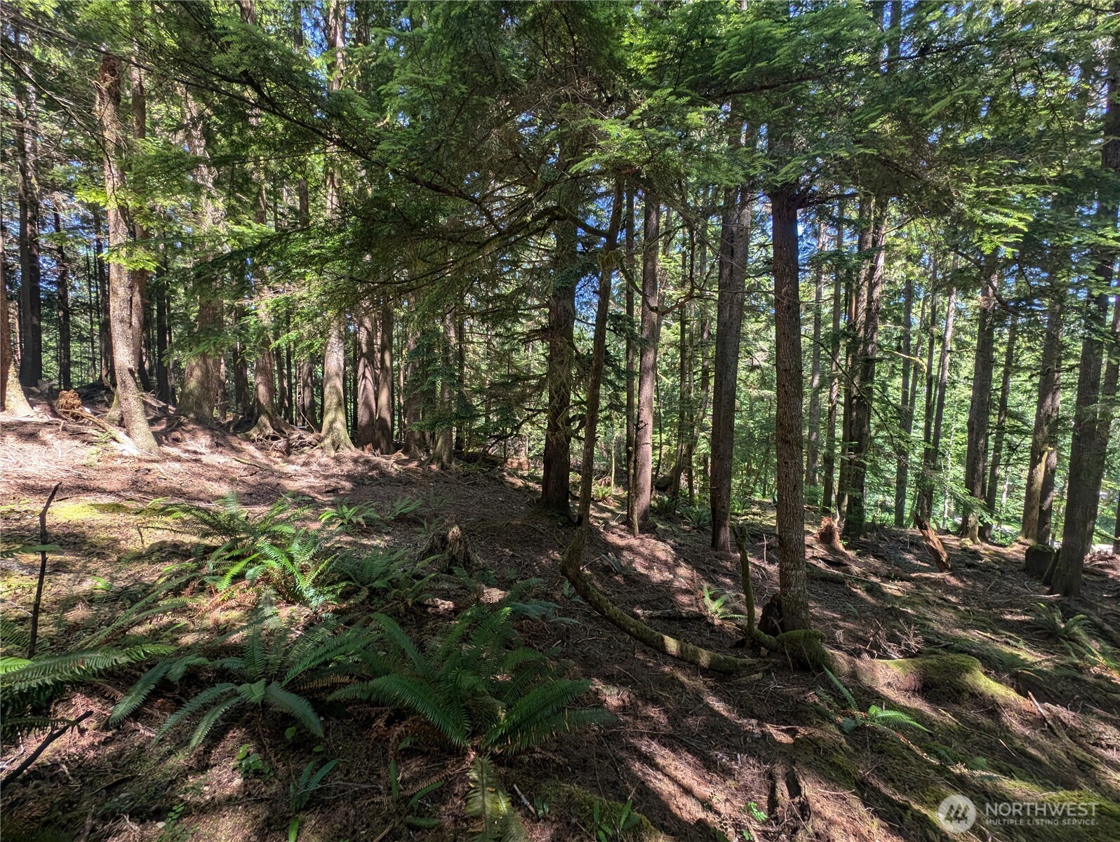 999 Kallman Road Forks, WA 98331 - Photo 20 of 32 a view of outdoor space and trees