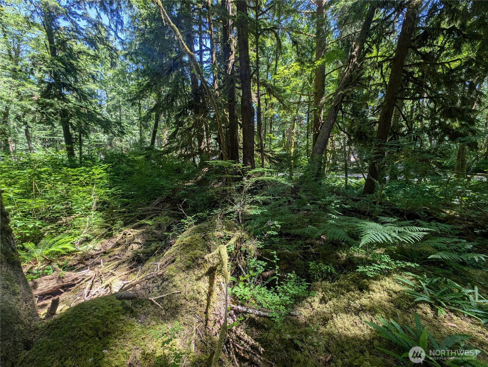 999 Kallman Road Forks, WA 98331 - Photo 27 of 32 a view of outdoor space and trees