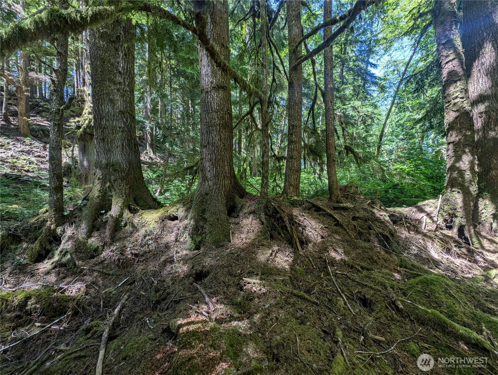 999 Kallman Road Forks, WA 98331 - Photo 28 of 32