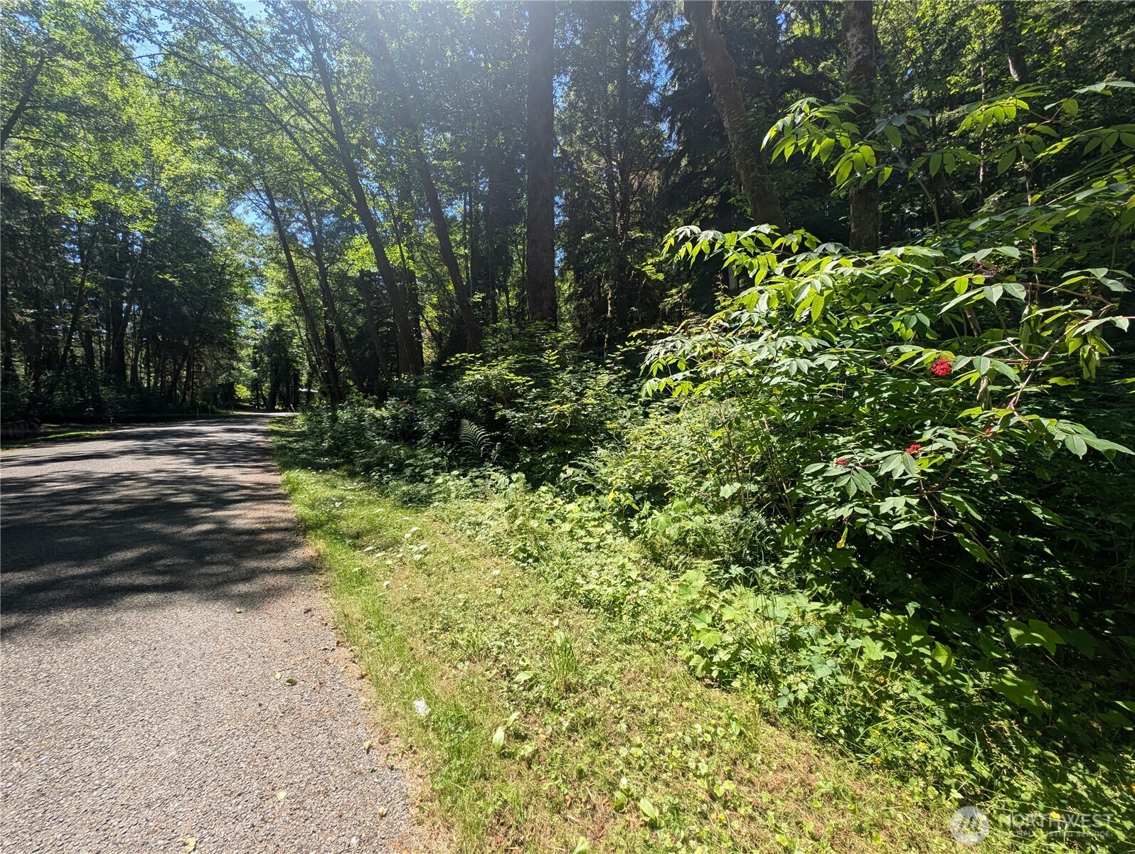 999 Kallman Road Forks, WA 98331 - Photo 30 of 32 a view of a yard with plants and trees