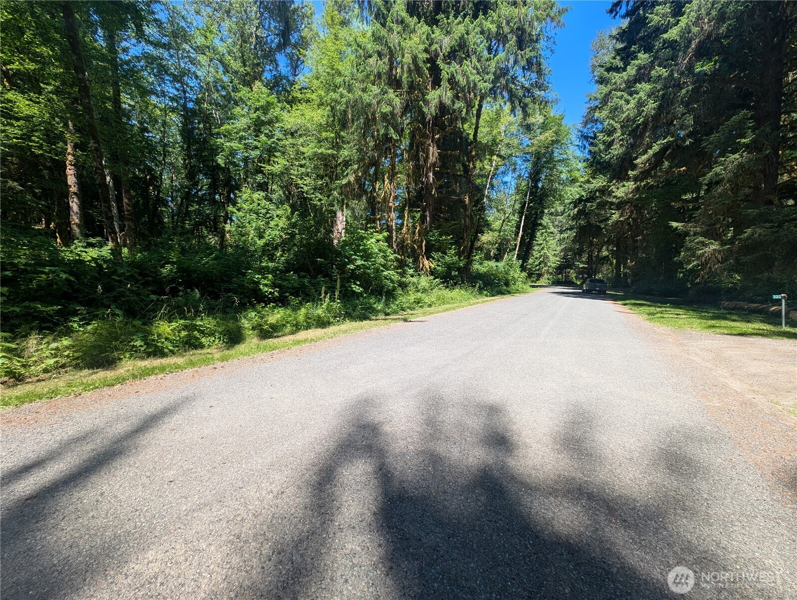 999 Kallman Road Forks, WA 98331 - Photo 31 of 32 a view of a road with trees in the background