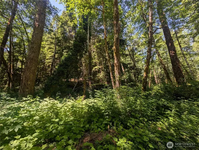 a view of outdoor space and a yard