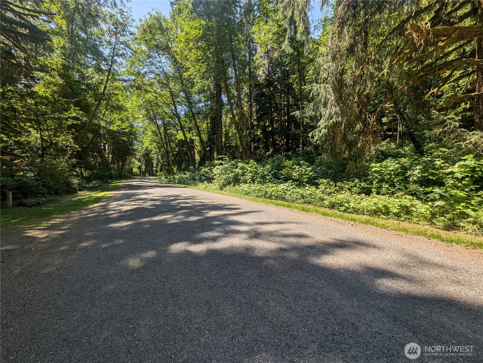 999 Kallman Road Forks, WA 98331 - Photo 4 of 32 a view of a yard with a tree