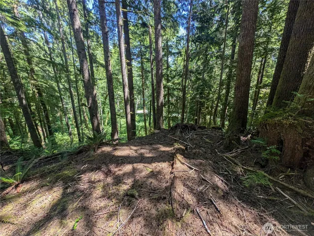 a view of outdoor space and yard