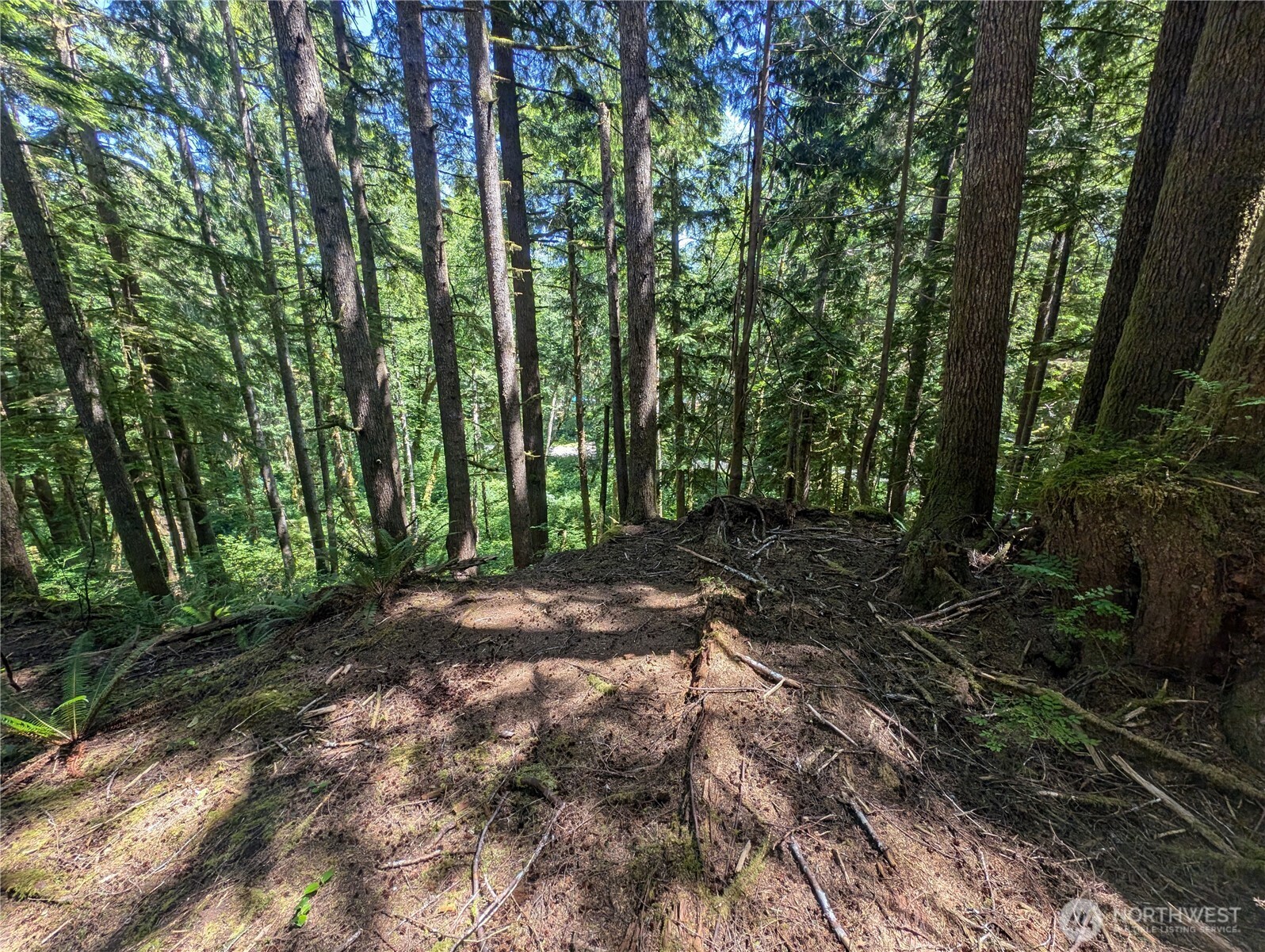 999 Kallman Road Forks, WA 98331 - Photo 9 of 32 a view of outdoor space and yard
