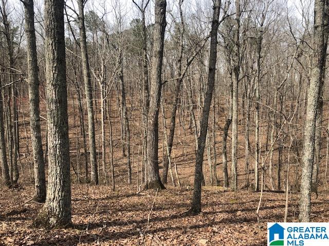 59 County Road, Unit 55 Roanoke, AL 36274 - Photo 3 of 7