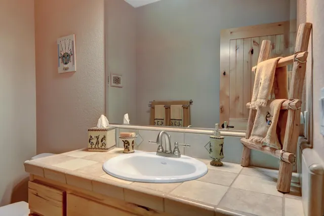 a bathroom with a sink a mirror and a shower