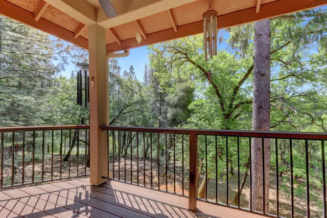 a view of a yard with plants and trees