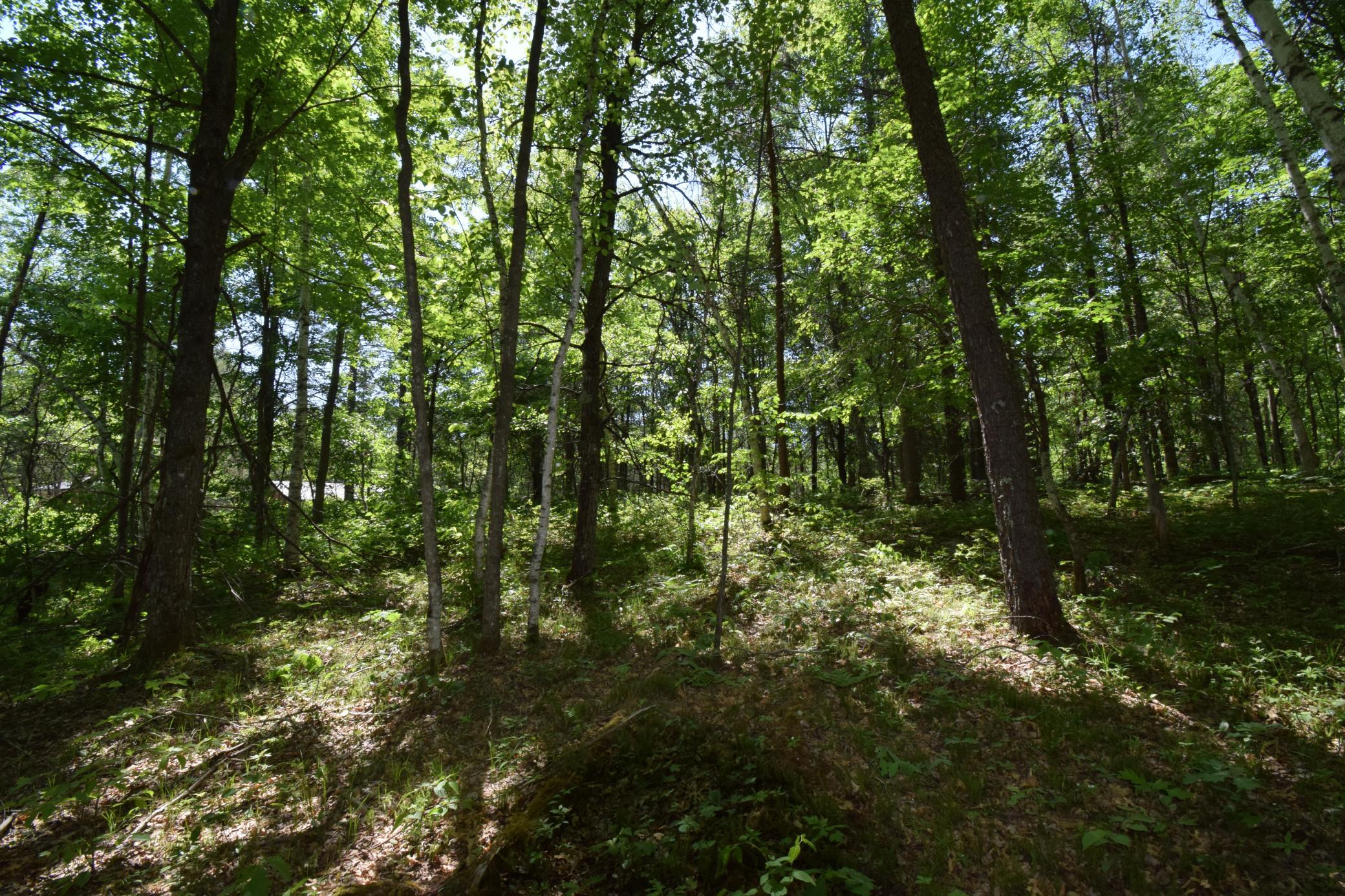 29093 Deerpath Pass Danbury, WI 54830 - Photo 51 of 94