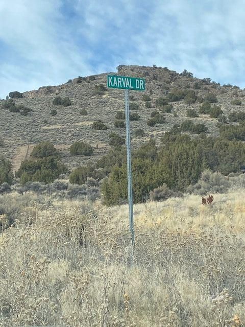 Karval Drive Dr Spring Creek Spring Creek, NV 89815 - Photo 2 of 9