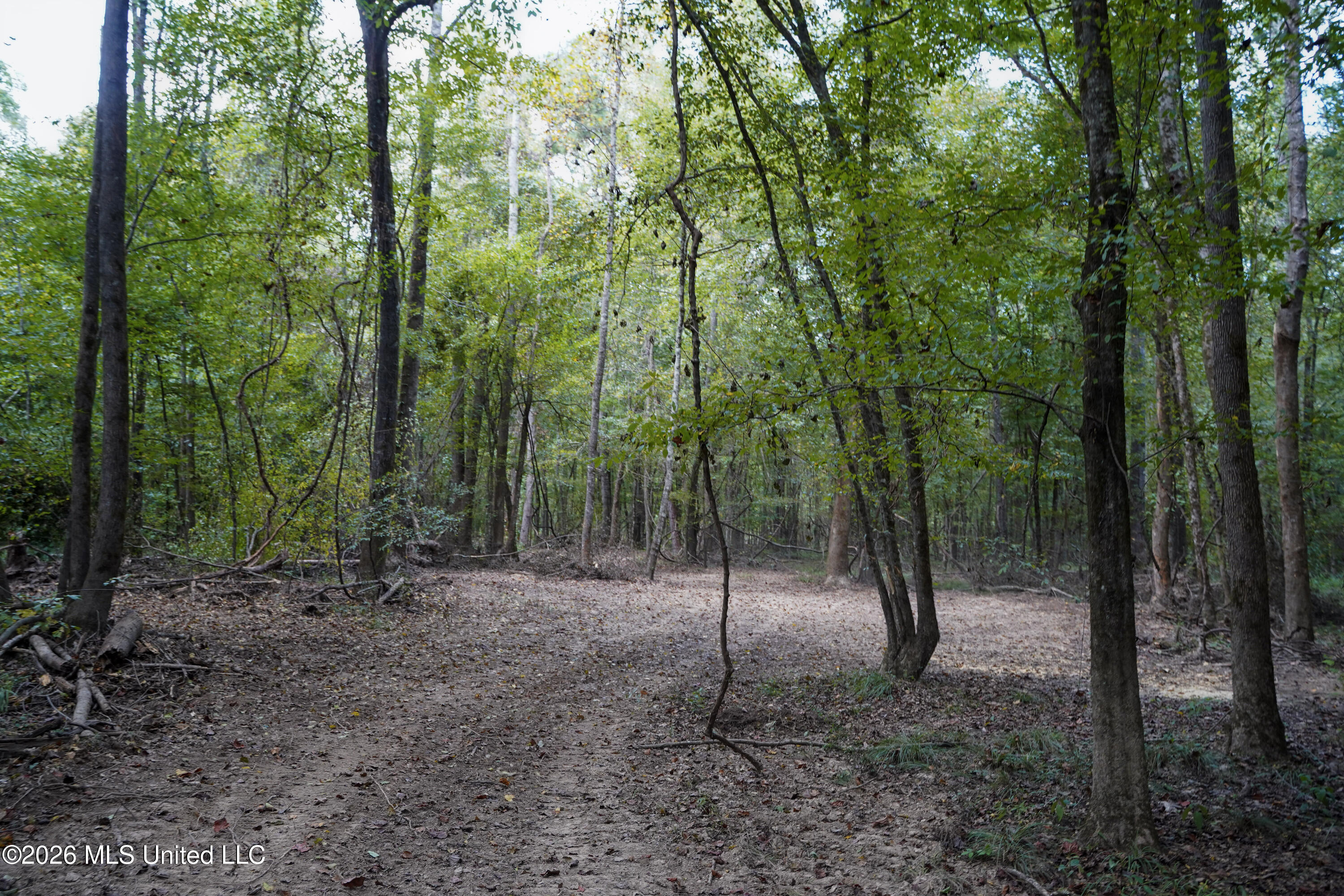 Mcintyre Road Brandon, MS 39042 - Photo 57 of 100 79-DSC08676