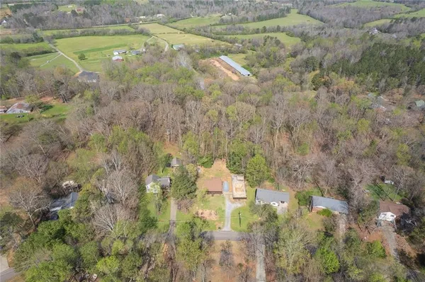 a bird of a building