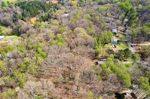 a view of a plants in a garden