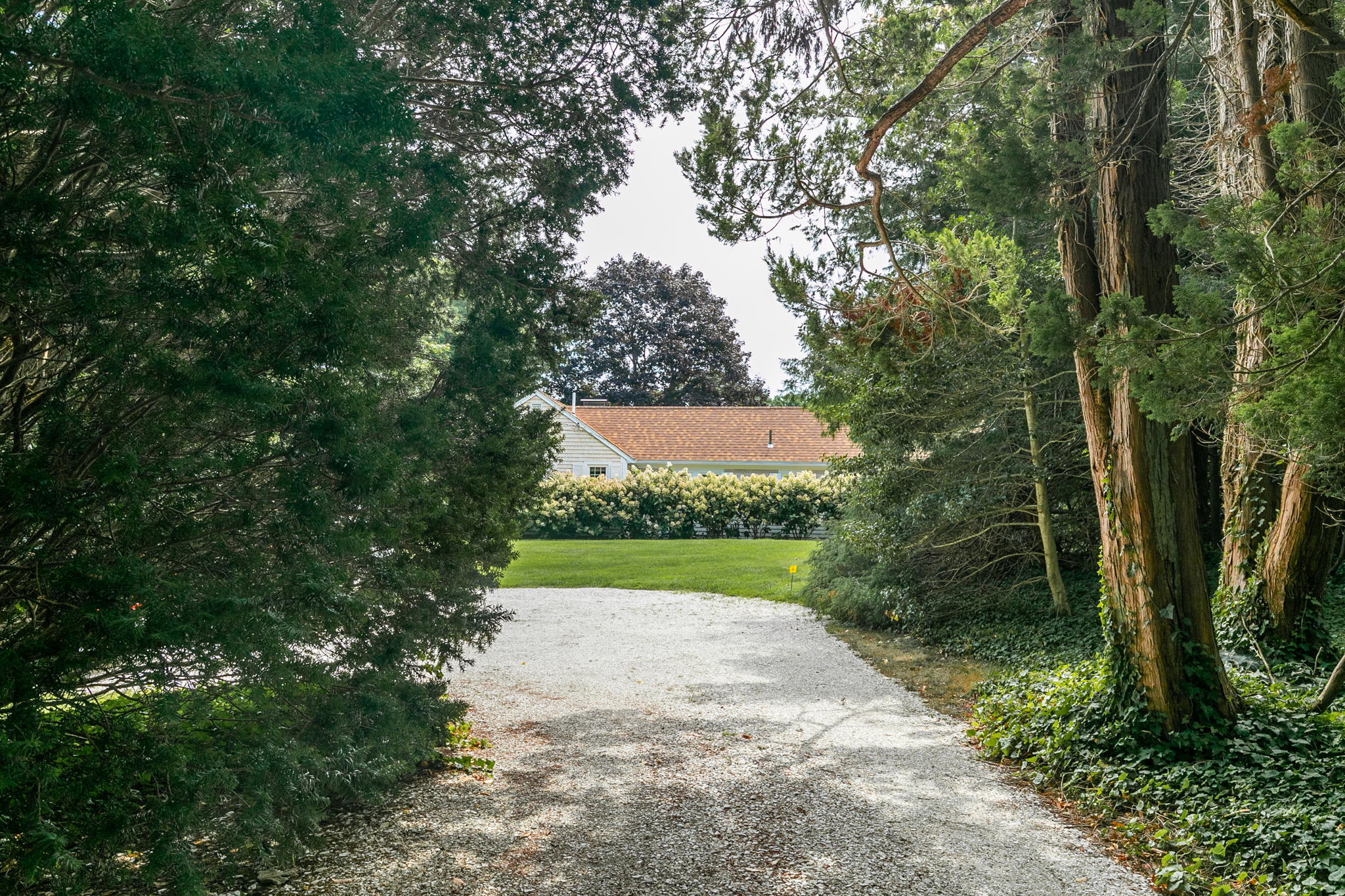 311 Main Street Centerville, MA 02632 - Photo 1 of 45 a view of a garden with plants