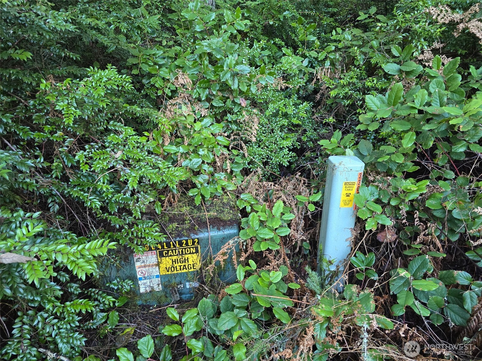 11620 Mill Place Anderson Island, WA 98303 - Photo 5 of 6 a street sign that is on a tree