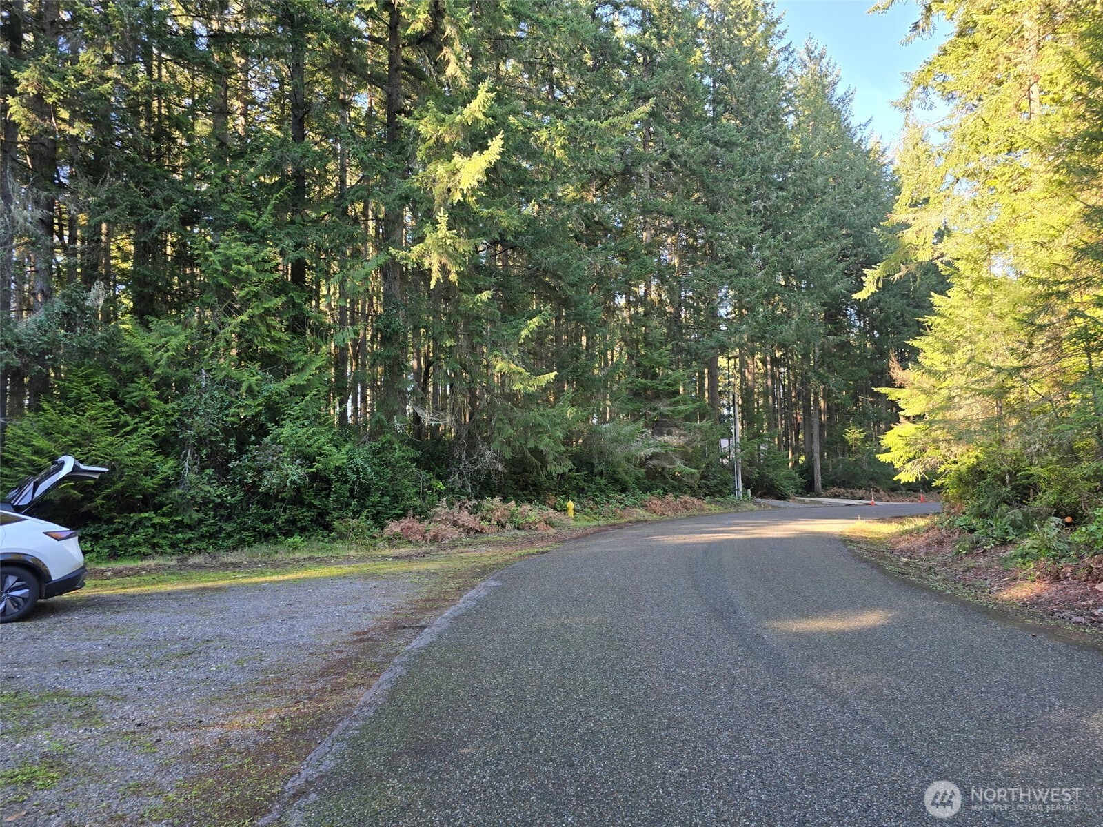11620 Mill Place Anderson Island, WA 98303 - Photo 6 of 6 a view of a road with a trees