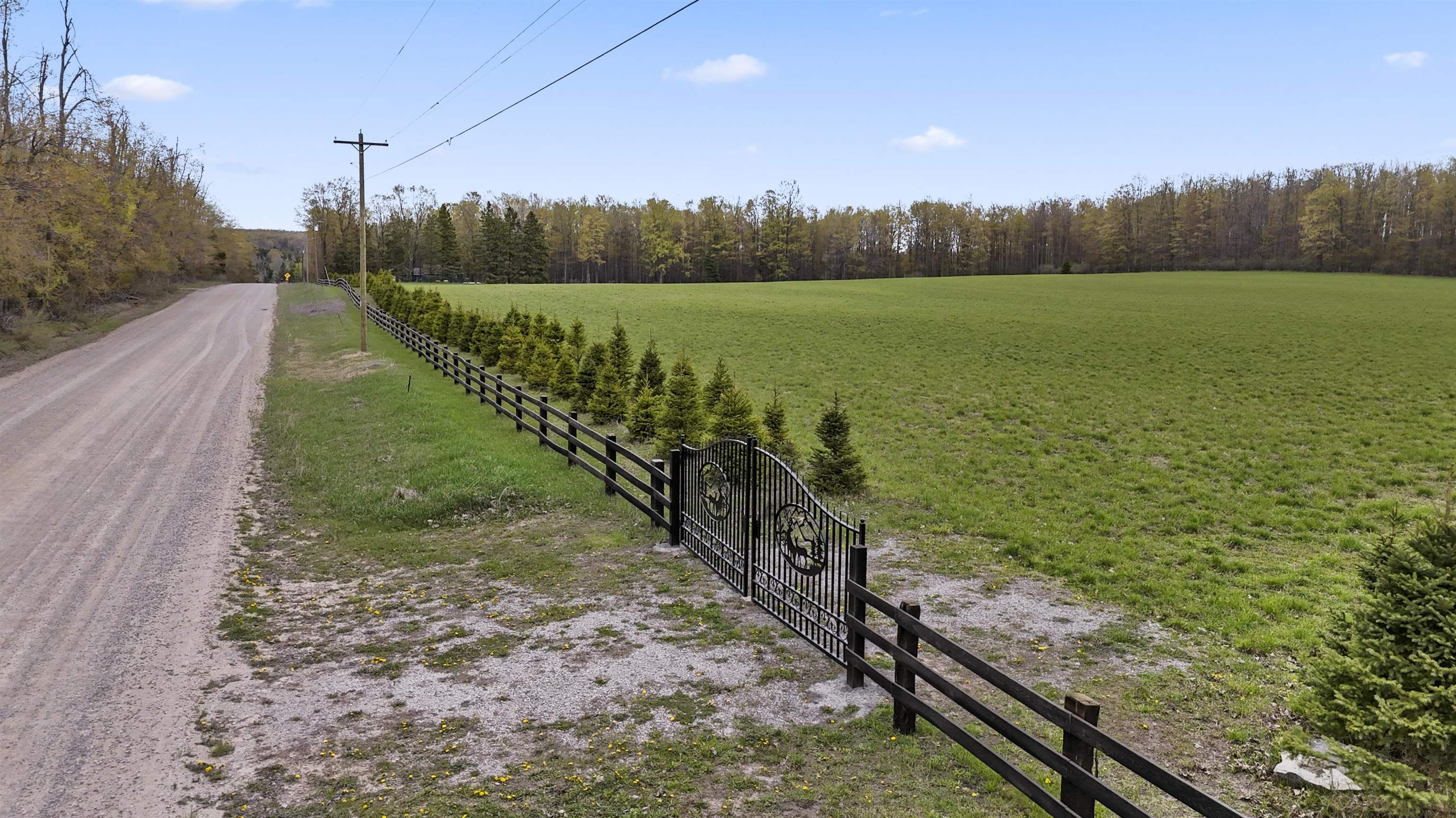 8055 Farrier Road Hillman, MI 49746 - Photo 81 of 96