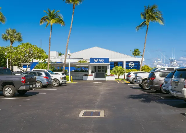 a view of a lake with boats and trees in the background