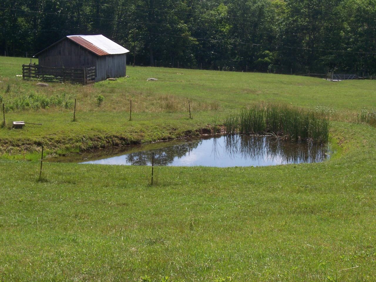 2051 Julia Road Renick, WV 24966 - Photo 9 of 20 Pond