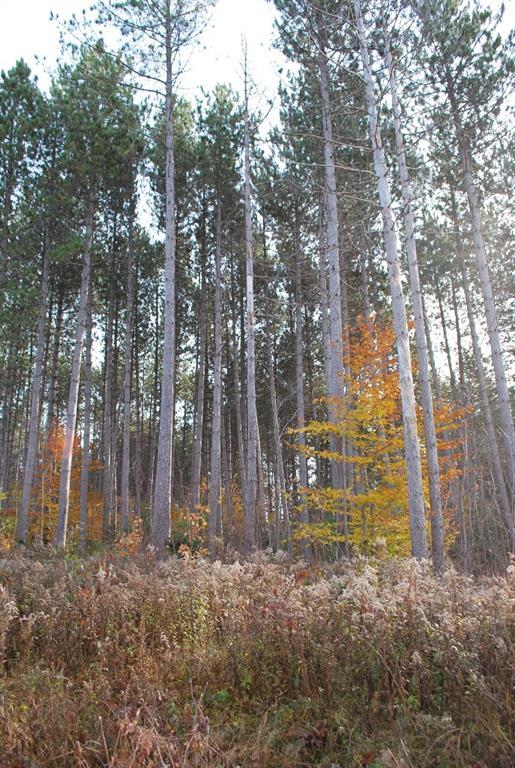 Lot 3 Old County Road Wellington, ME 04942 - Photo 3 of 23 Photo