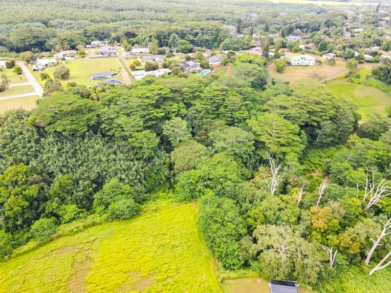37 Omao Road Koloa, HI 96756 - Photo 14 of 29