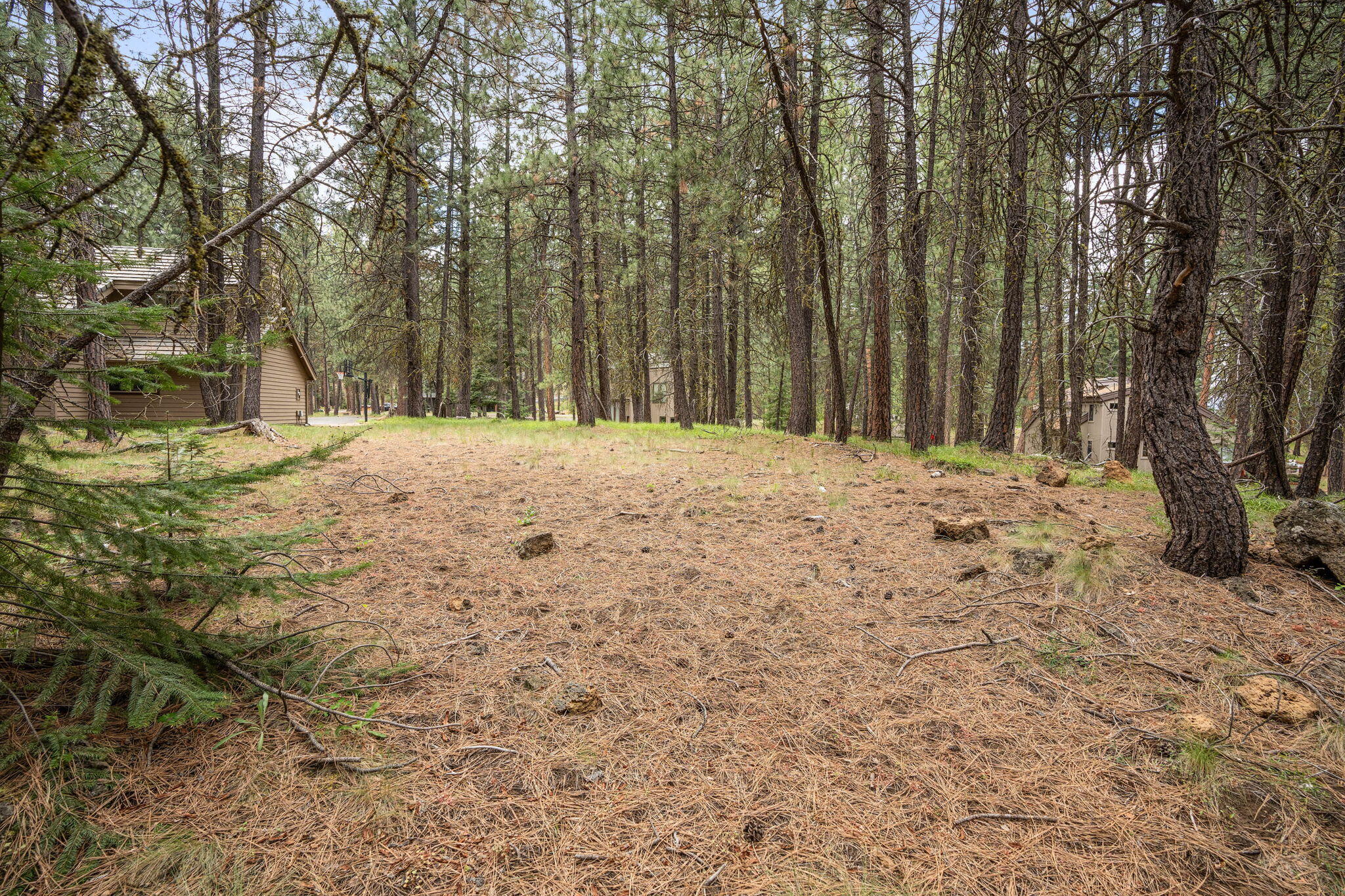 Undisclosed Address Black Butte Ranch, OR 97759 - Photo 10 of 24 a view of a yard with trees