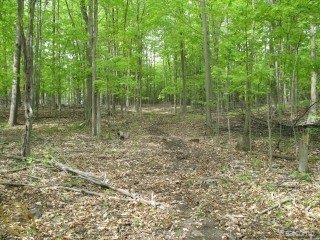 O Bricker Road Avoca, MI 48006 - Photo 4 of 5 BRICKER 4