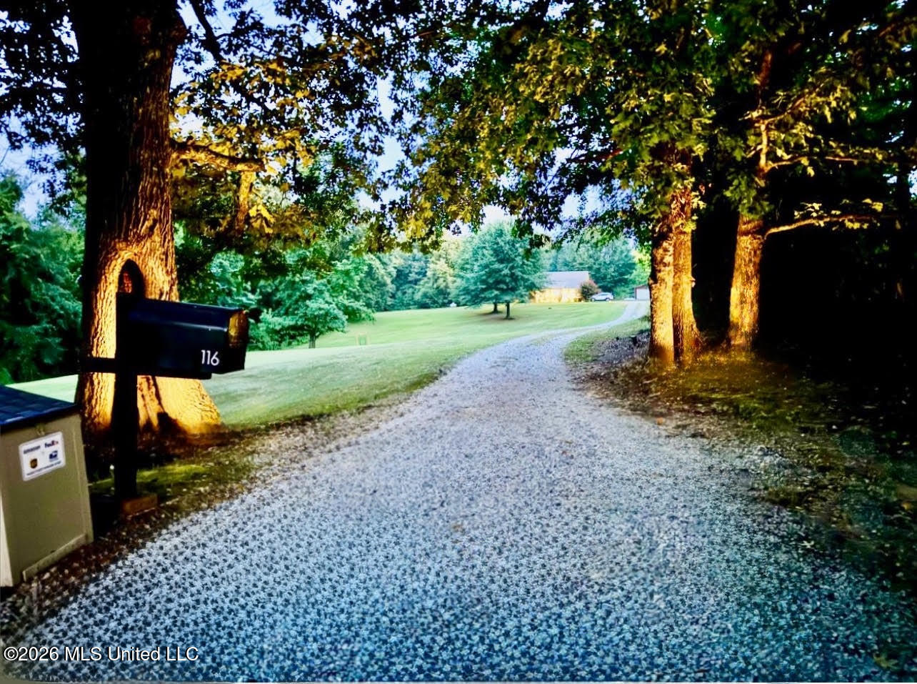116 North Stone Road Potts Camp, MS 38659 - Photo 7 of 22 116 Stone Pic 2