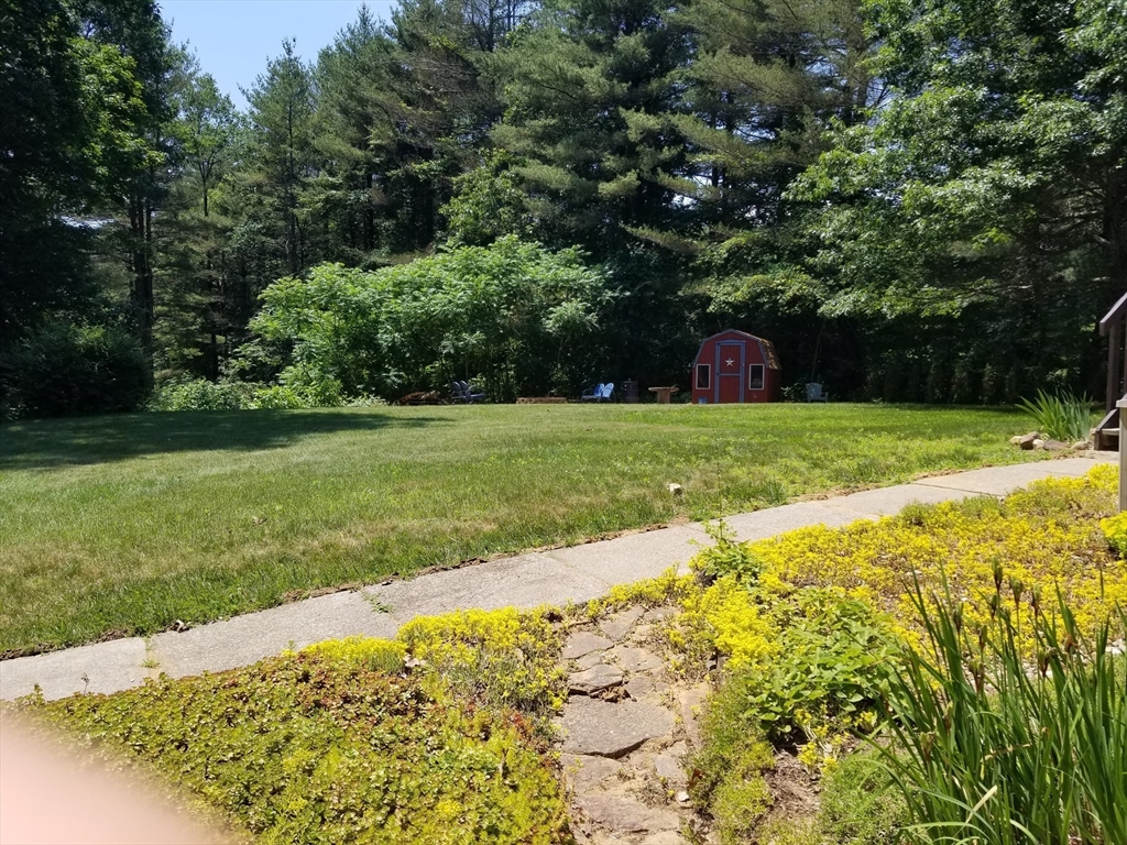 291 Crouch Road Warren, MA 01092 - Photo 6 of 29 a view of a backyard with large trees