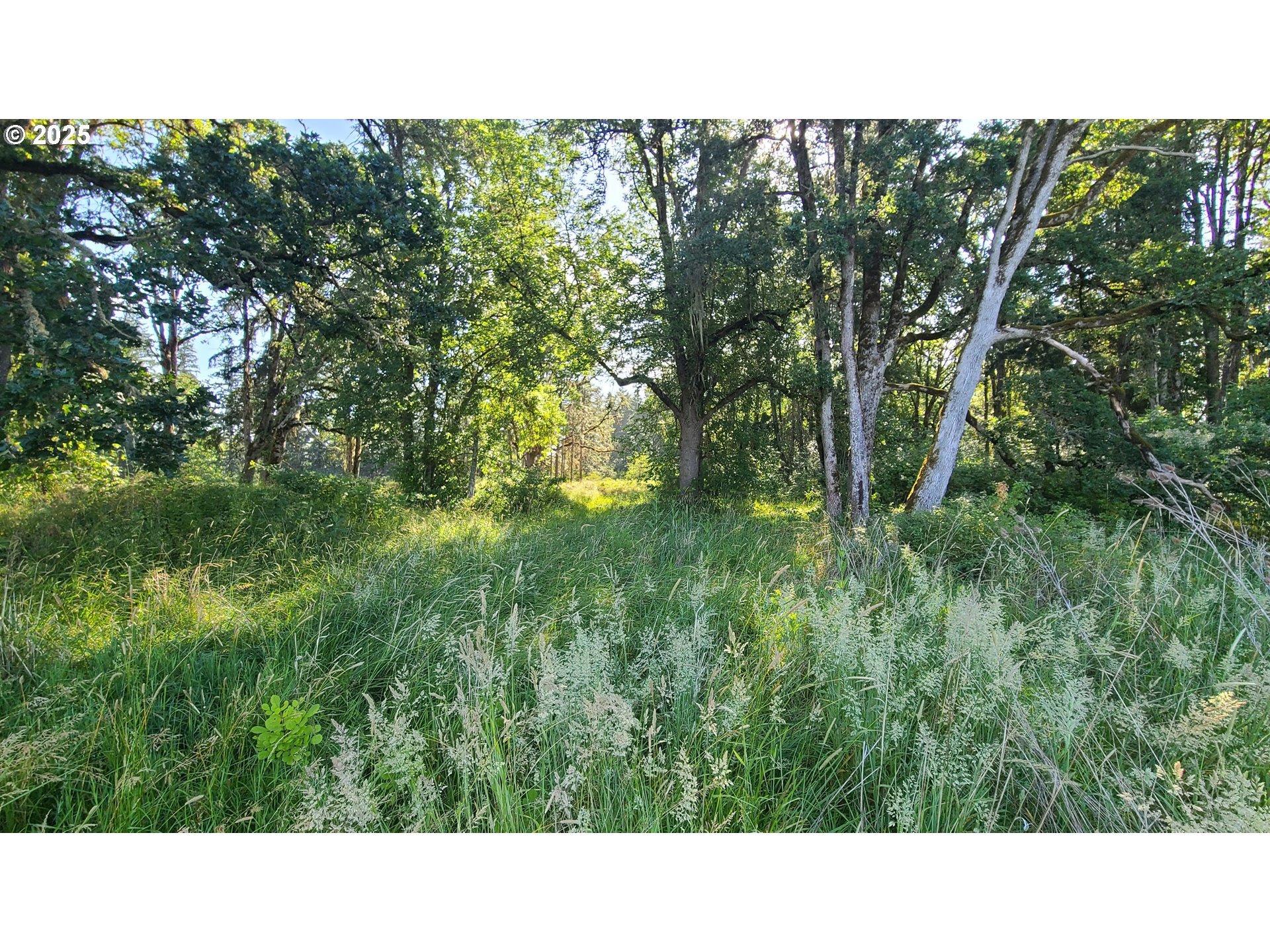36647 Gilkey Road Scio, OR 97374 - Photo 42 of 44 Gallery Image 42