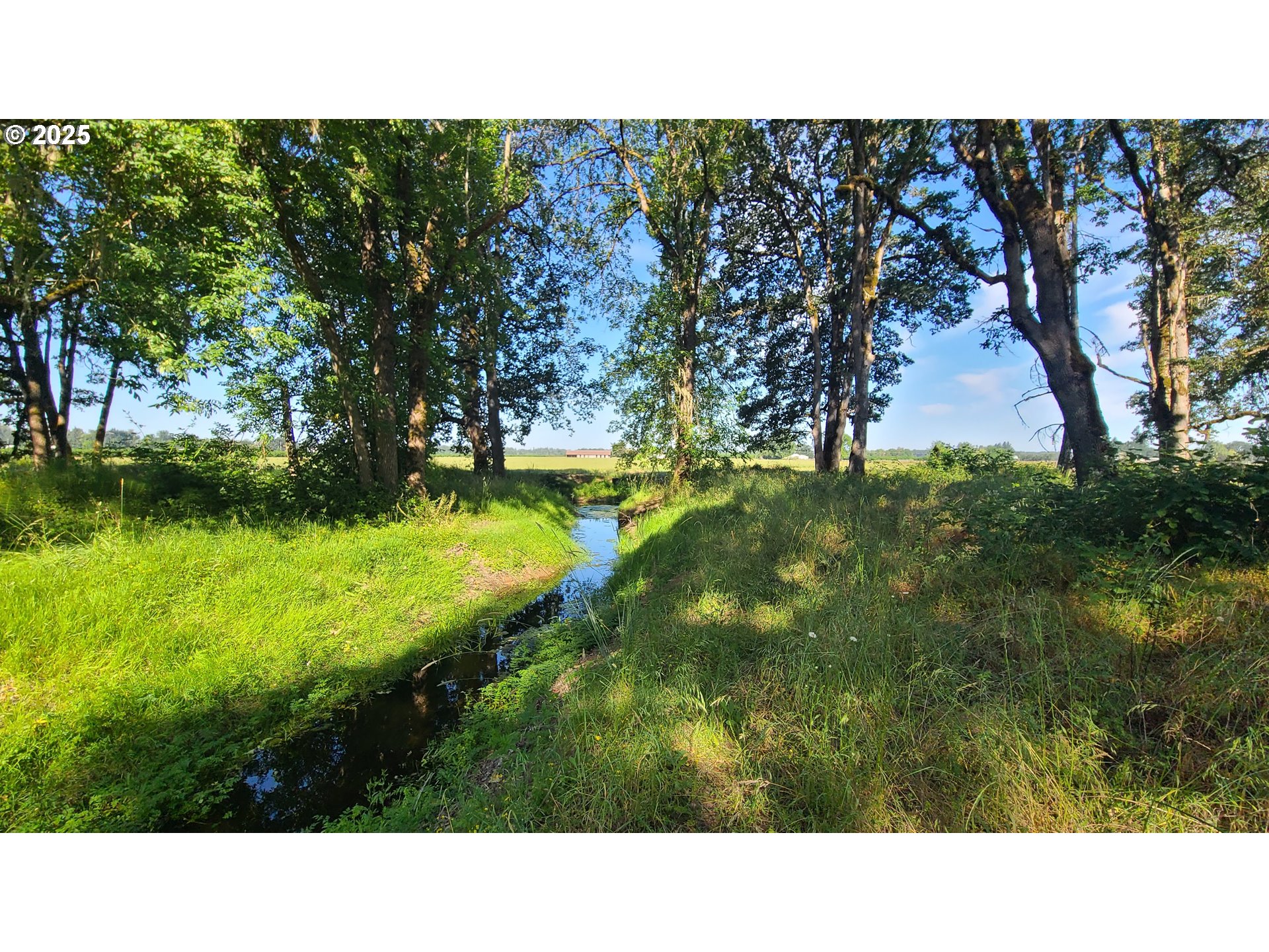 36647 Gilkey Road Scio, OR 97374 - Photo 43 of 44 Gallery Image 43