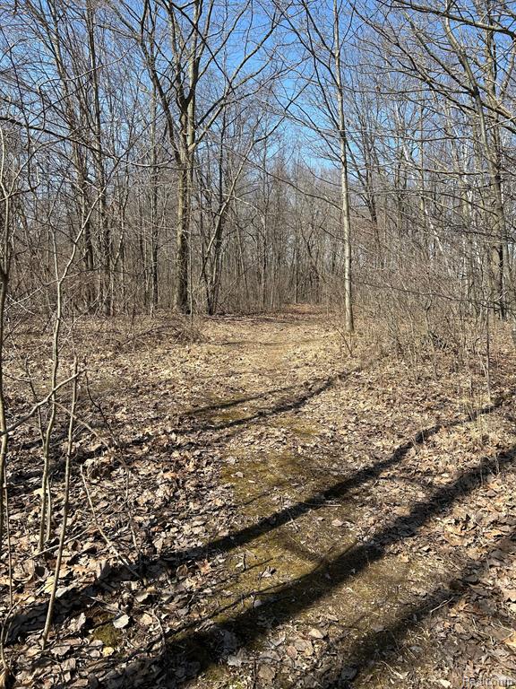 3187 Swaffer Road Millington, MI 48746 - Photo 16 of 17