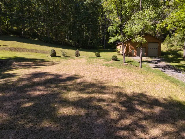 a view of a playground with a tree