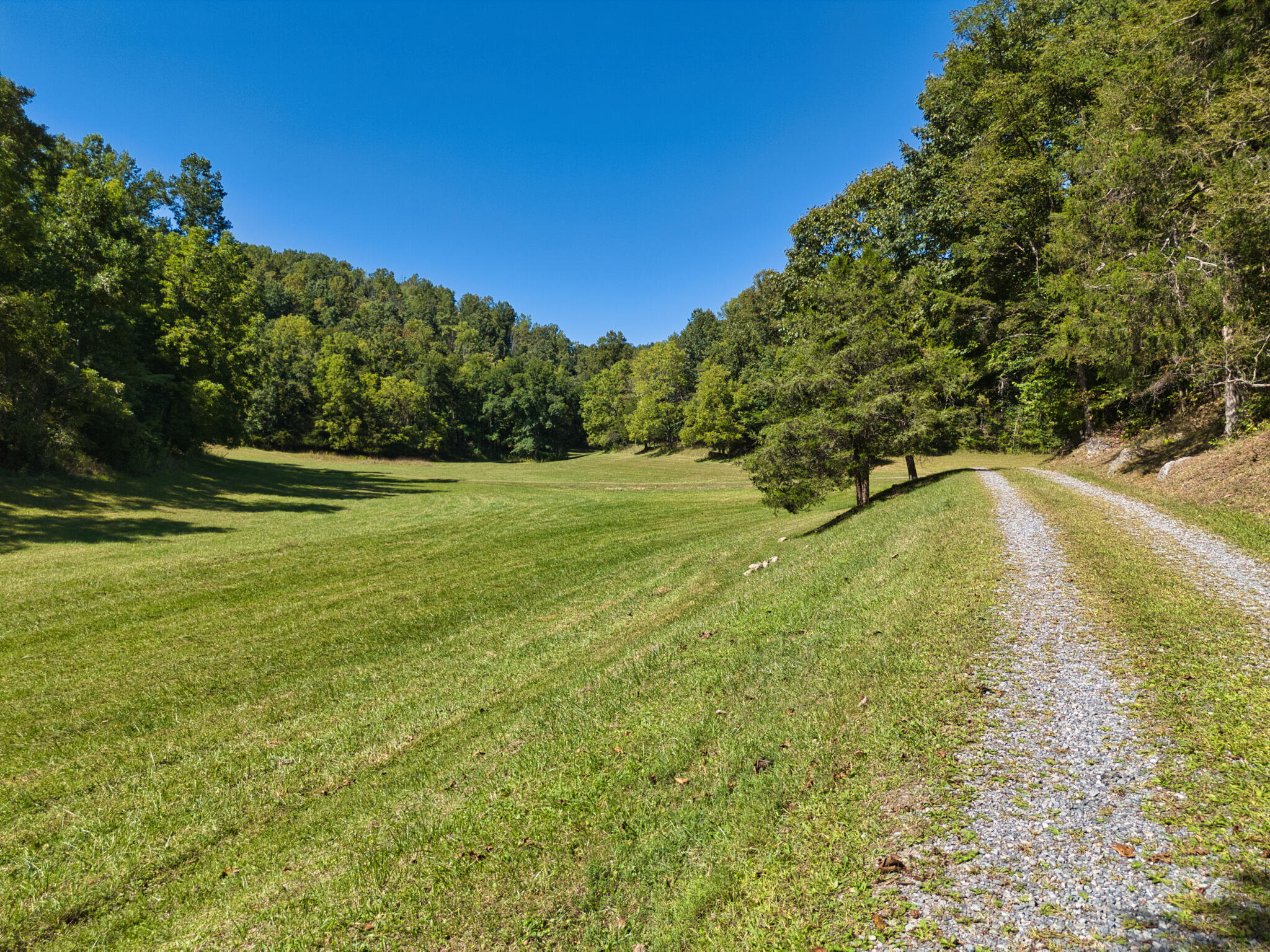 2554 Georges Run Road Shawsville, VA 24162 - Photo 11 of 40 a view of an outdoor space and a yard