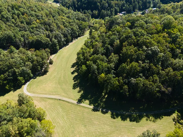 a view of a plant in a garden