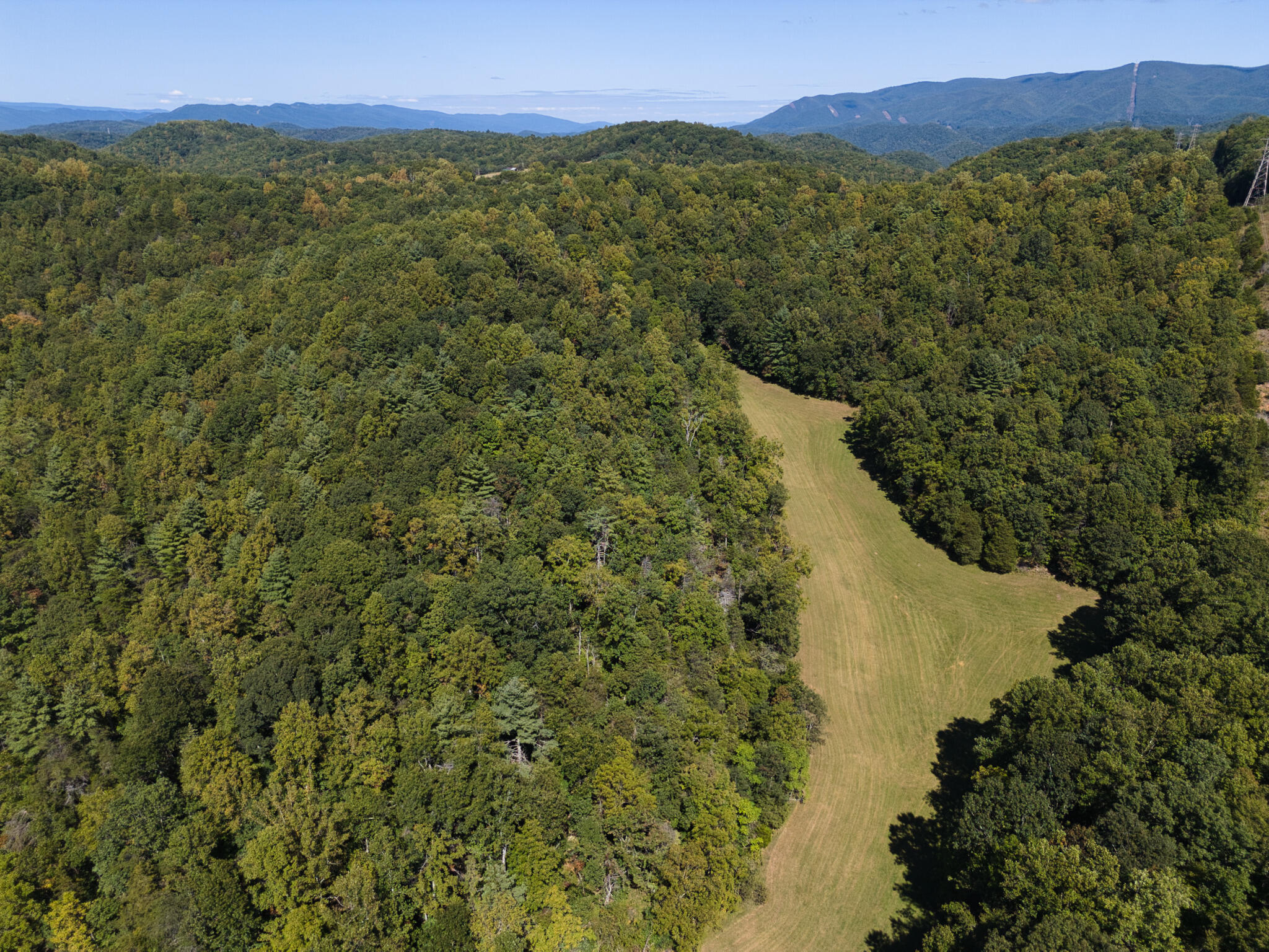 2554 Georges Run Road Shawsville, VA 24162 - Photo 21 of 40 a view of a forest with a lake