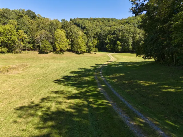 a backyard of a house