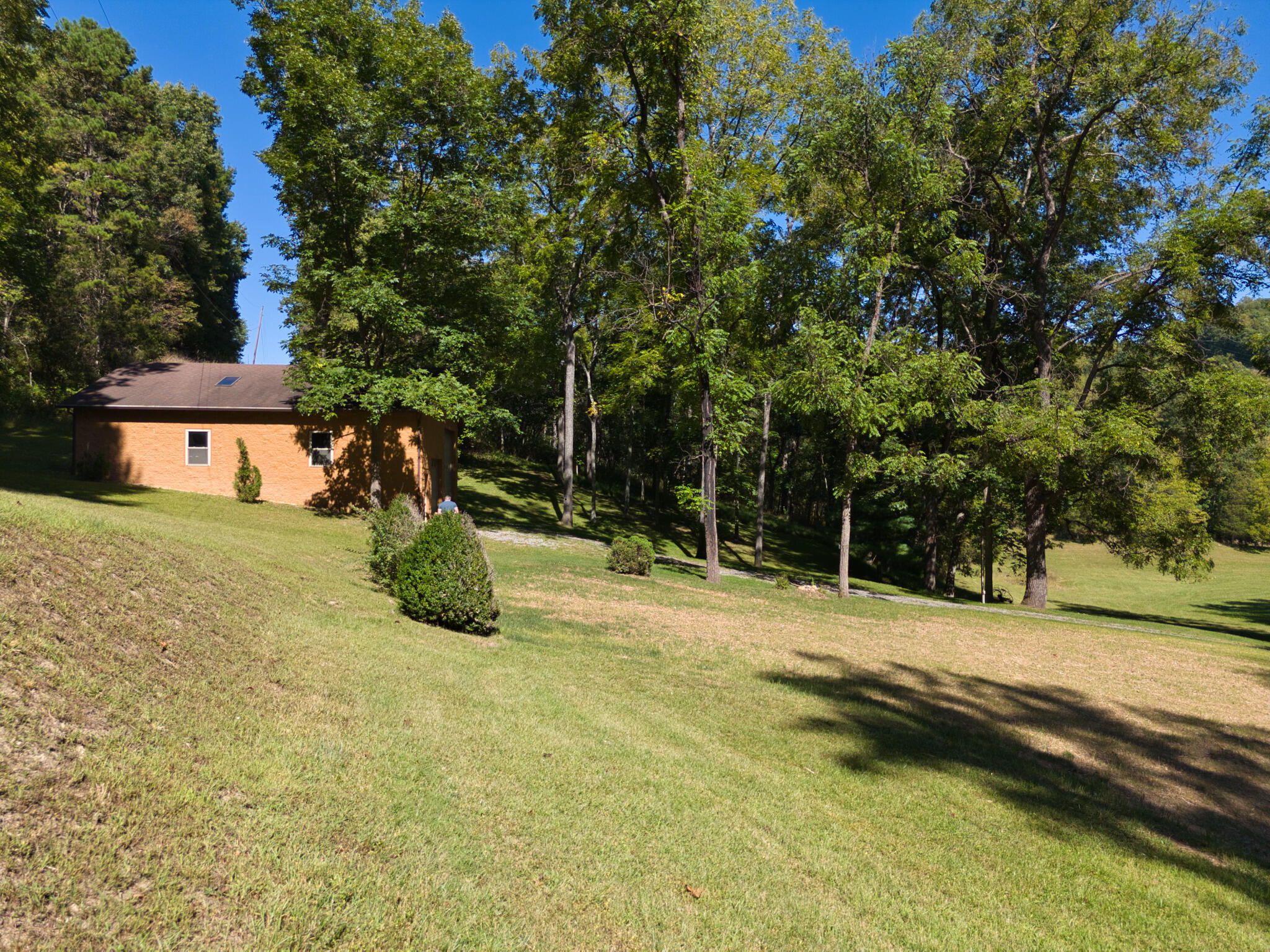 2554 Georges Run Road Shawsville, VA 24162 - Photo 26 of 40 a view of a yard with plants and trees