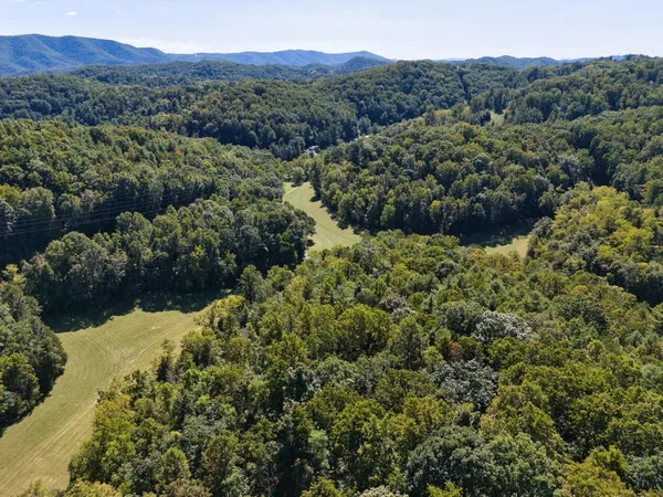 a view of yard with green space