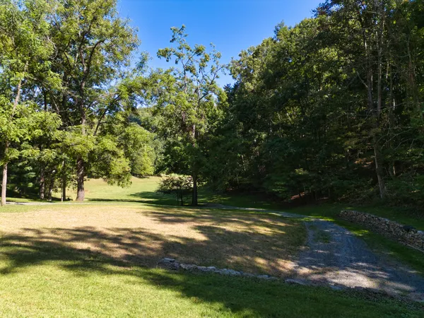 a view of a trees with a yard