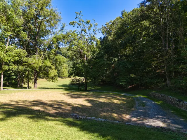 a view of a trees with a yard