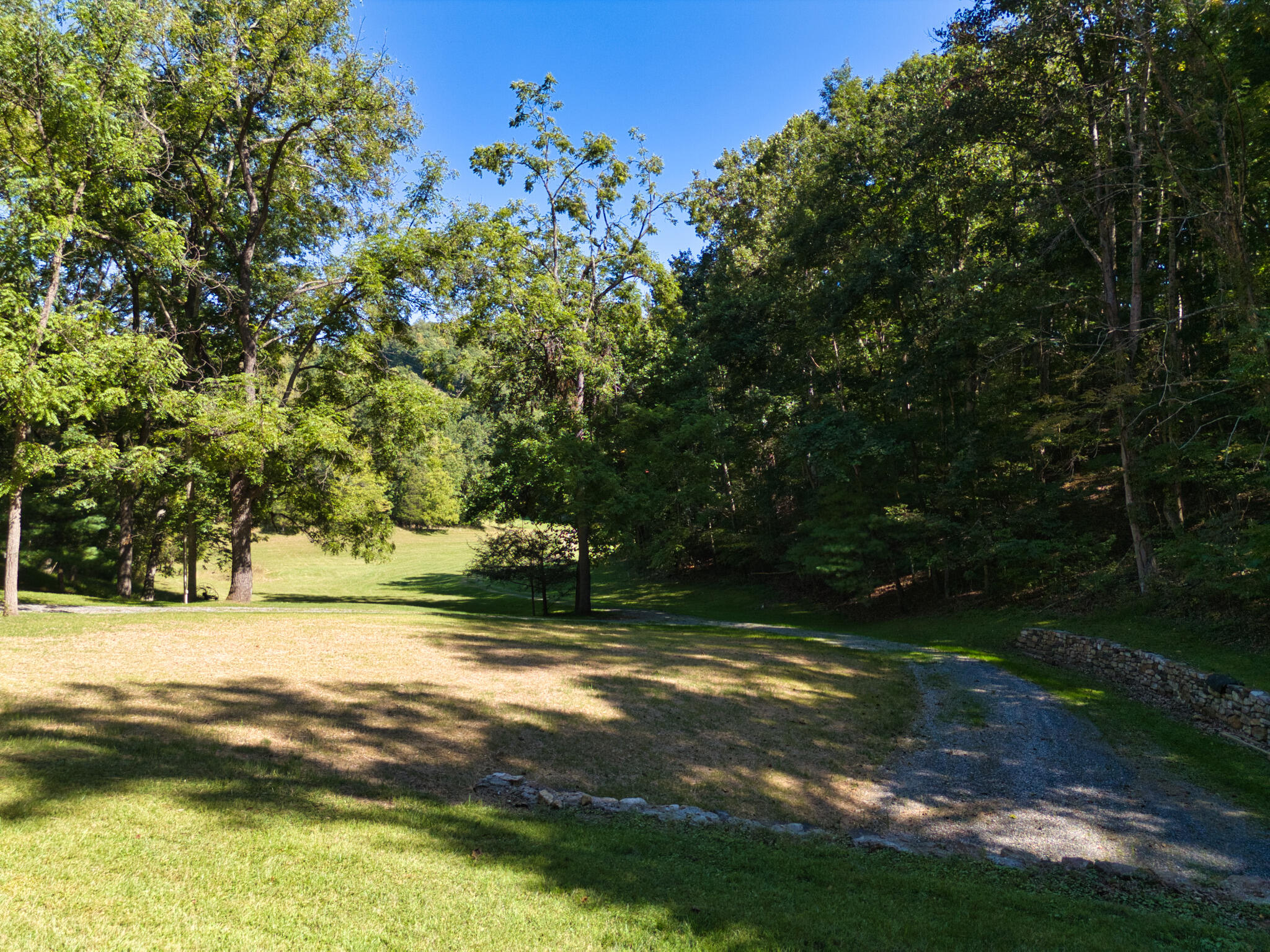 2554 Georges Run Road Shawsville, VA 24162 - Photo 29 of 40 a view of yard with green space