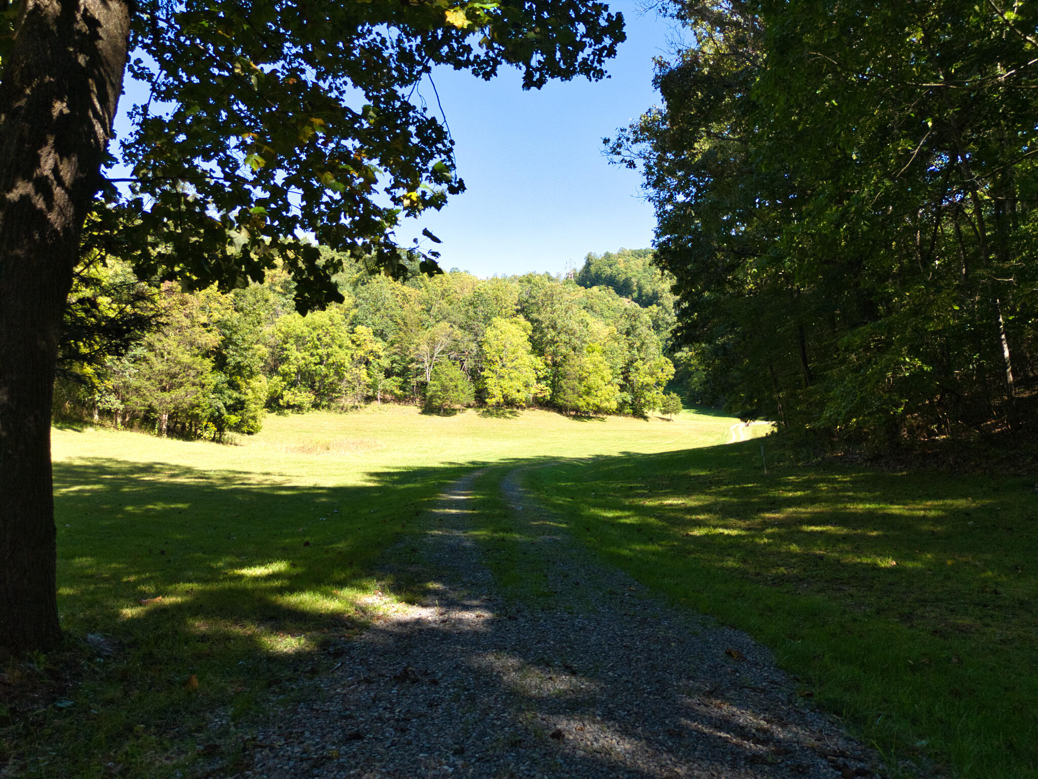 2554 Georges Run Road Shawsville, VA 24162 - Photo 30 of 40 a view of a trees with a yard